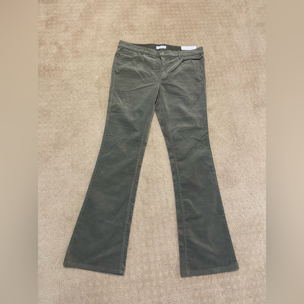 NWT Loft Olive Green Corduroy Pants